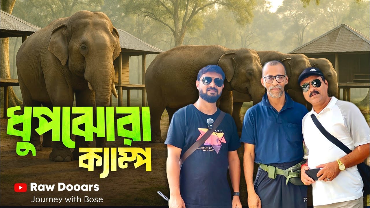 ডুয়ার্স জুড়ে হাতির তাণ্ডব | ঘুরলাম গ্রামে গ্রামে | Dooars Trip | Kunal Bose 