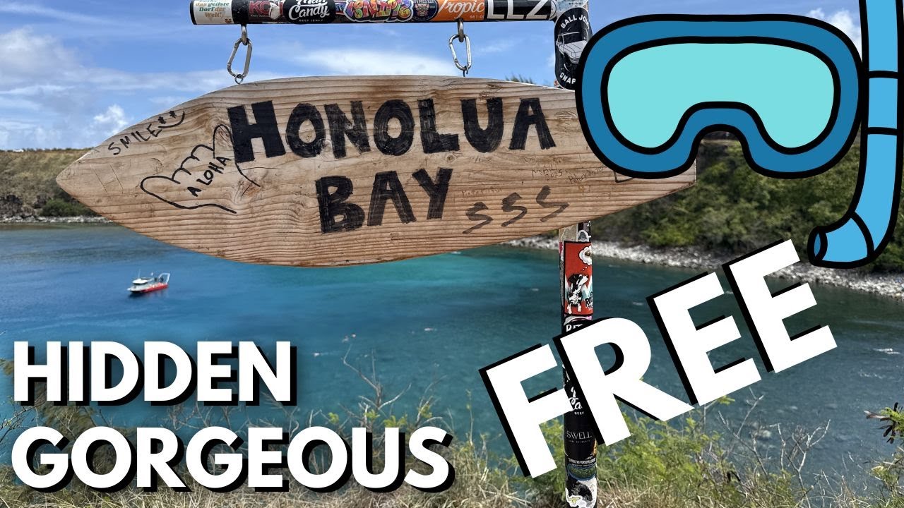 Maui’s BEST Secret Snorkeling Spot 🤫 | You Won’t Believe Honolua Bay!