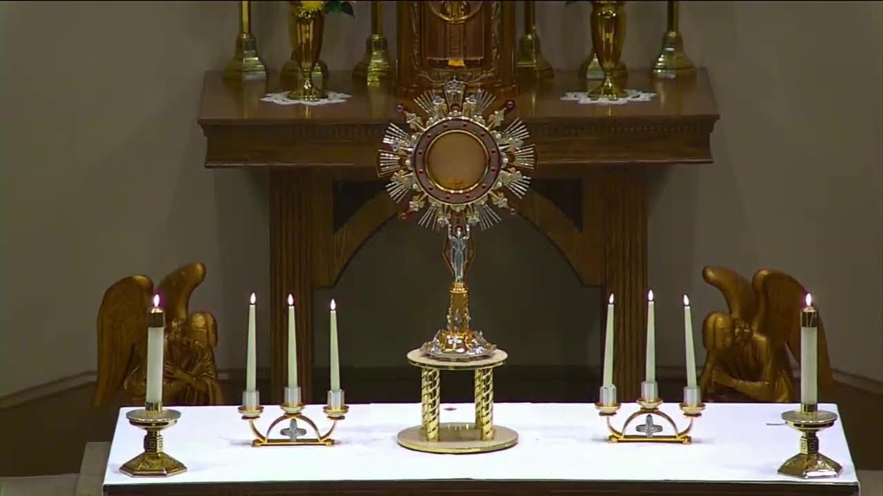 February 12, 2026- Thursday of the Fifth Week in Ordinary Time (8AM Mass) & Eucharist Adoration.