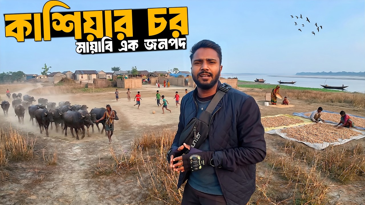 গাইবান্ধার কাশিয়ার চরের মানুষের জীবনযাপন | River Island Life in Bangladesh