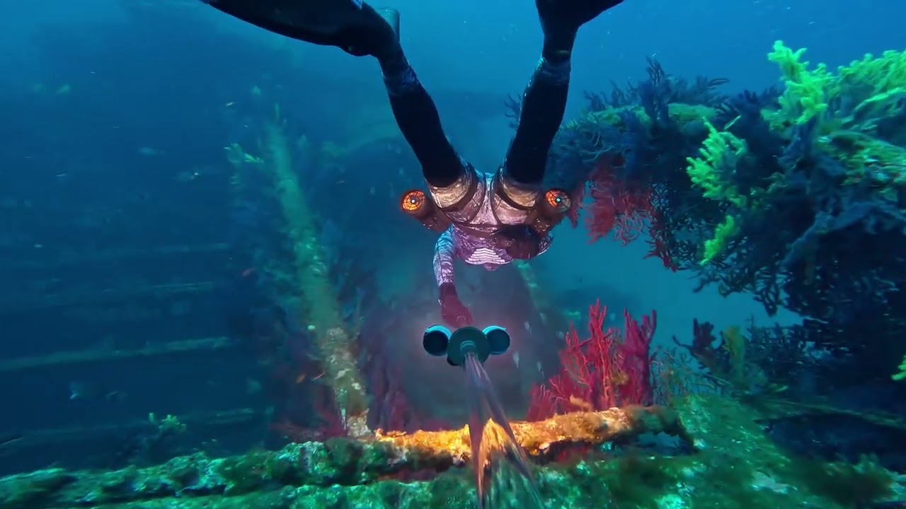 Freediving Nox Diving
