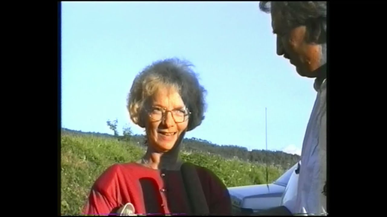 Ferie og vær i Valnesfjord