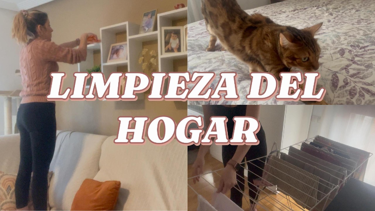 ✨✨LIMPIEZA DEL HOGAR✨✨ Conocéis a mi gata💕