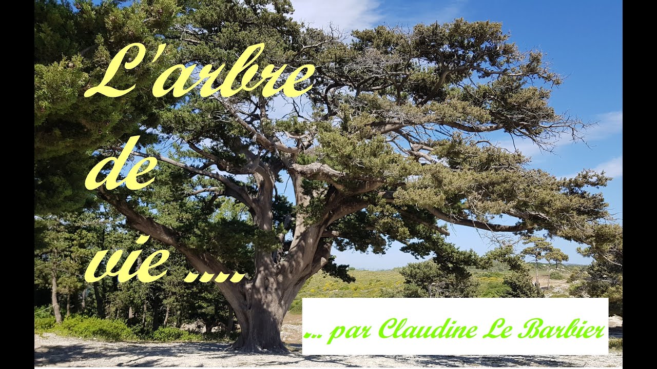 Poésie : l'arbre de vie, une réflexion sur cette nature qui nous entoure ( de Claudine LE BARBIER)