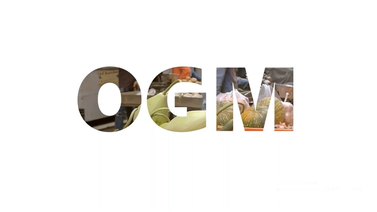Les OGM (Organismes Génétiquement Modifiés)- Le génie génétique et son impact sur l'environnement.