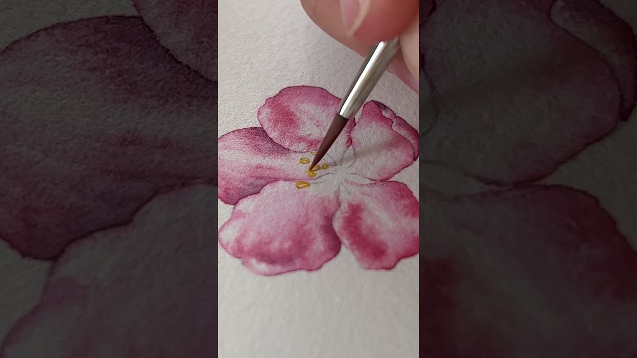 Watercolour Botanical Art | Crab Apple Blossom #botanicalillustration  #watercolor #art #painting