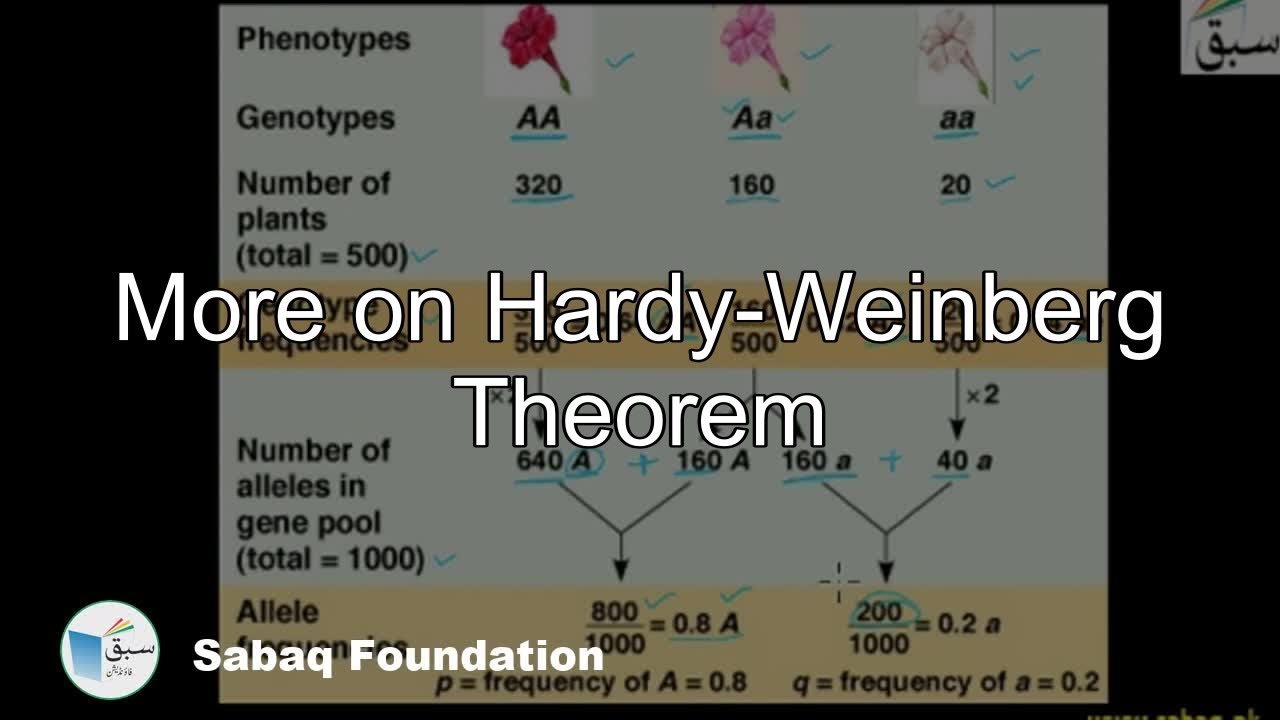More on Hardy-Weinberg Theorem, Biology Lecture | Sabaq.pk