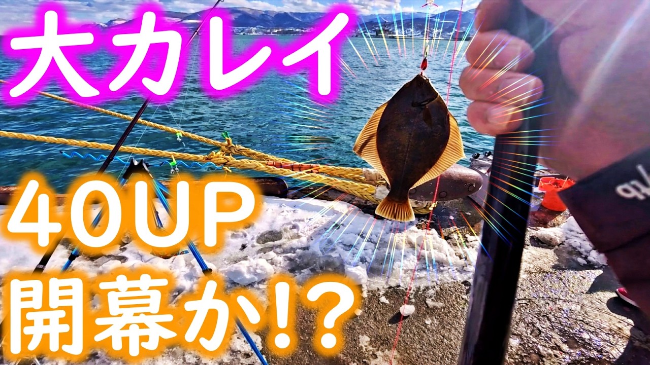 【釣り】北海道・大カレイ・開幕か！？札幌近郊：2026年2月中旬