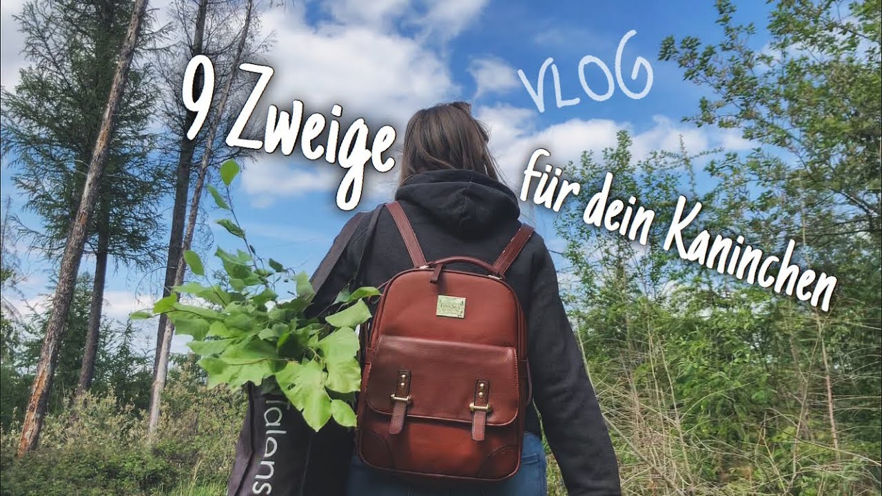 9 Zweige für dein Kaninchen