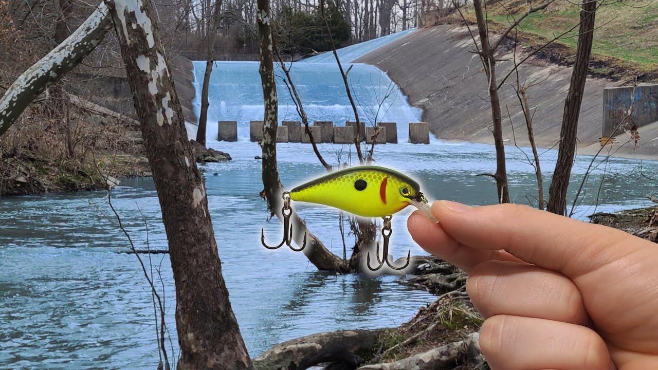 I Caught a HUGE WALLEYE in This Spillway!!!
