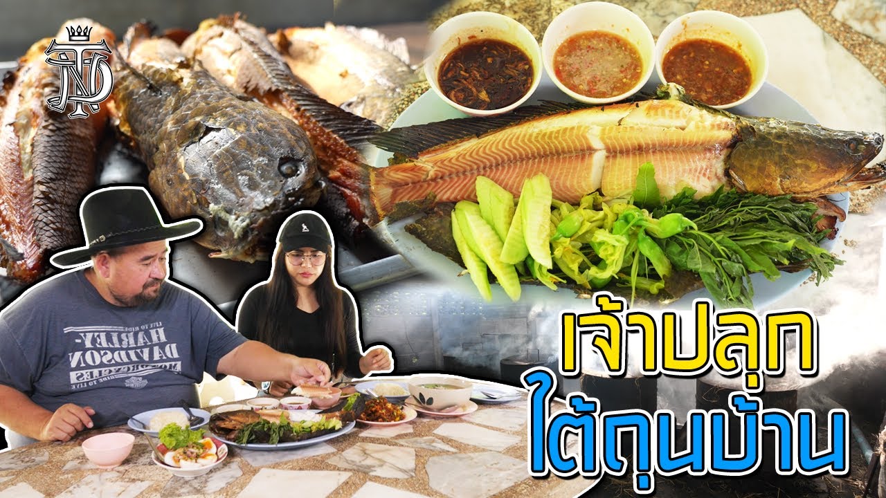 หม่อมถนัดแดก | เจ้าปลุก ใต้ถุนบ้าน | ปลาเผาหอมกาบมะพร้าว อาหารราคาดี!!