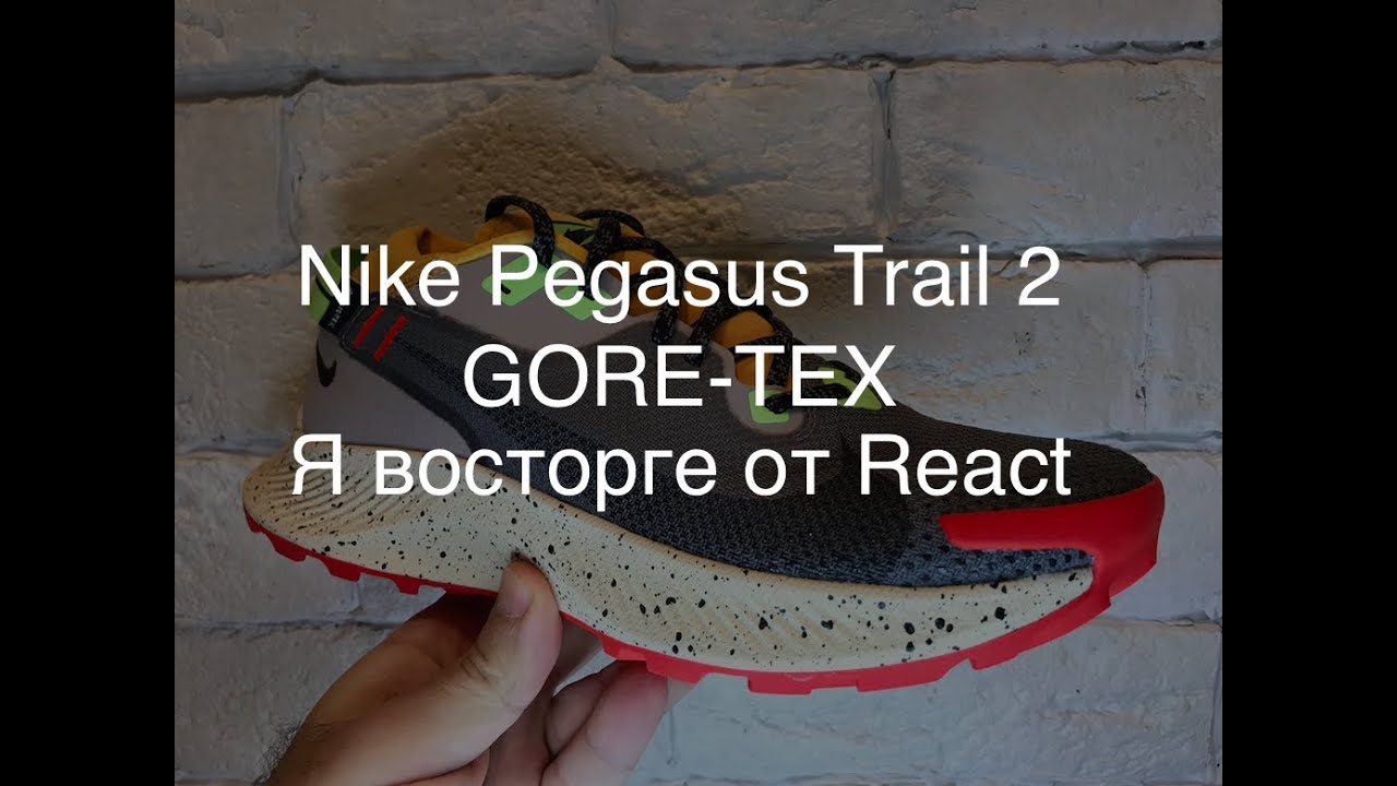 Nike Pegasus Trail 2 GORE-TEX обзор обзор обзор!