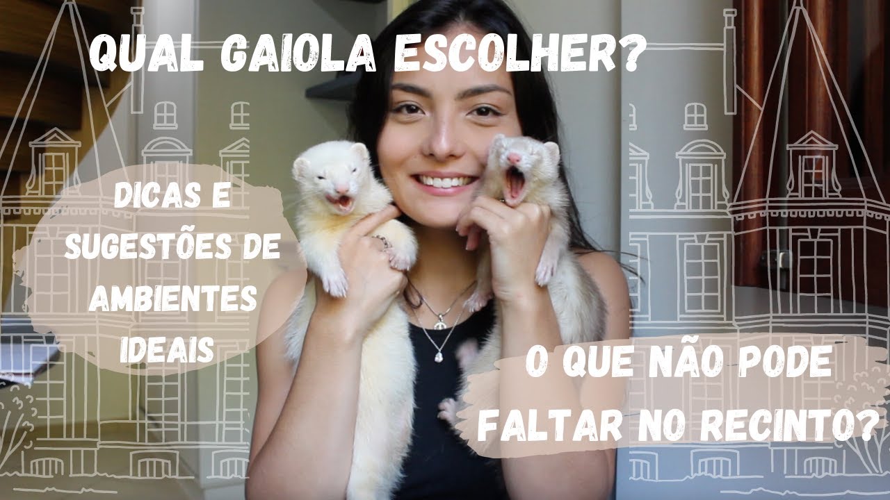 COMO CRIAR O AMBIENTE IDEAL PRO SEU FERRET/FURÃO
