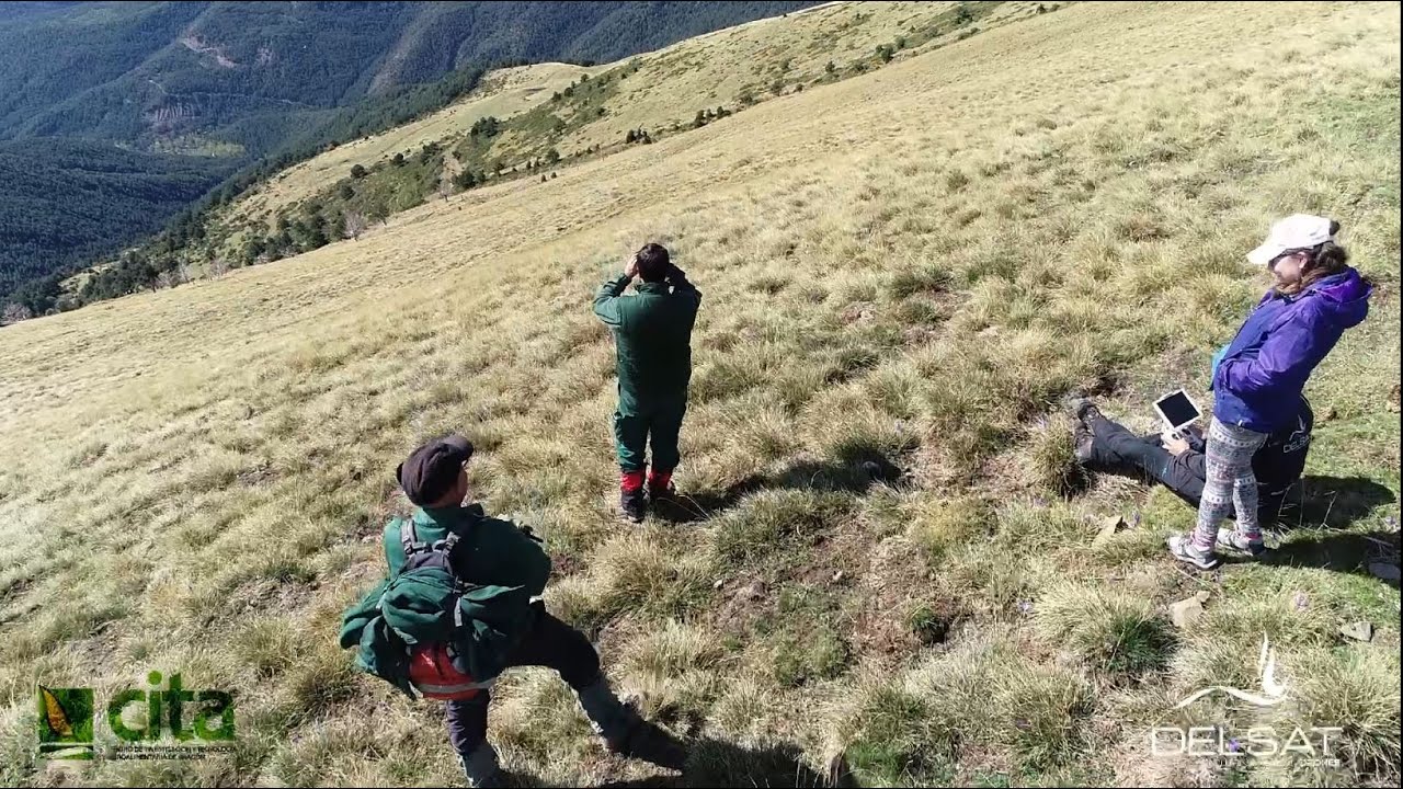Vídeo que muestra los resultados del proyecto 