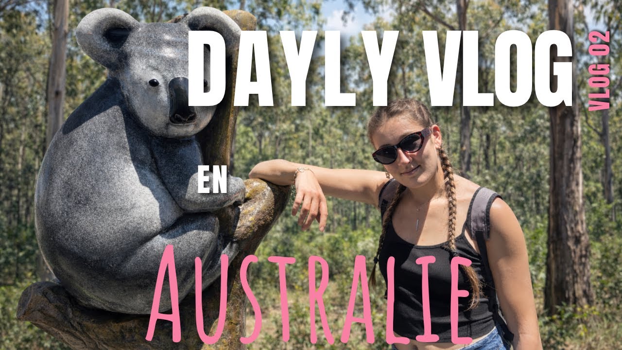 Dayly Vlog 2 : A la recherche des koalas