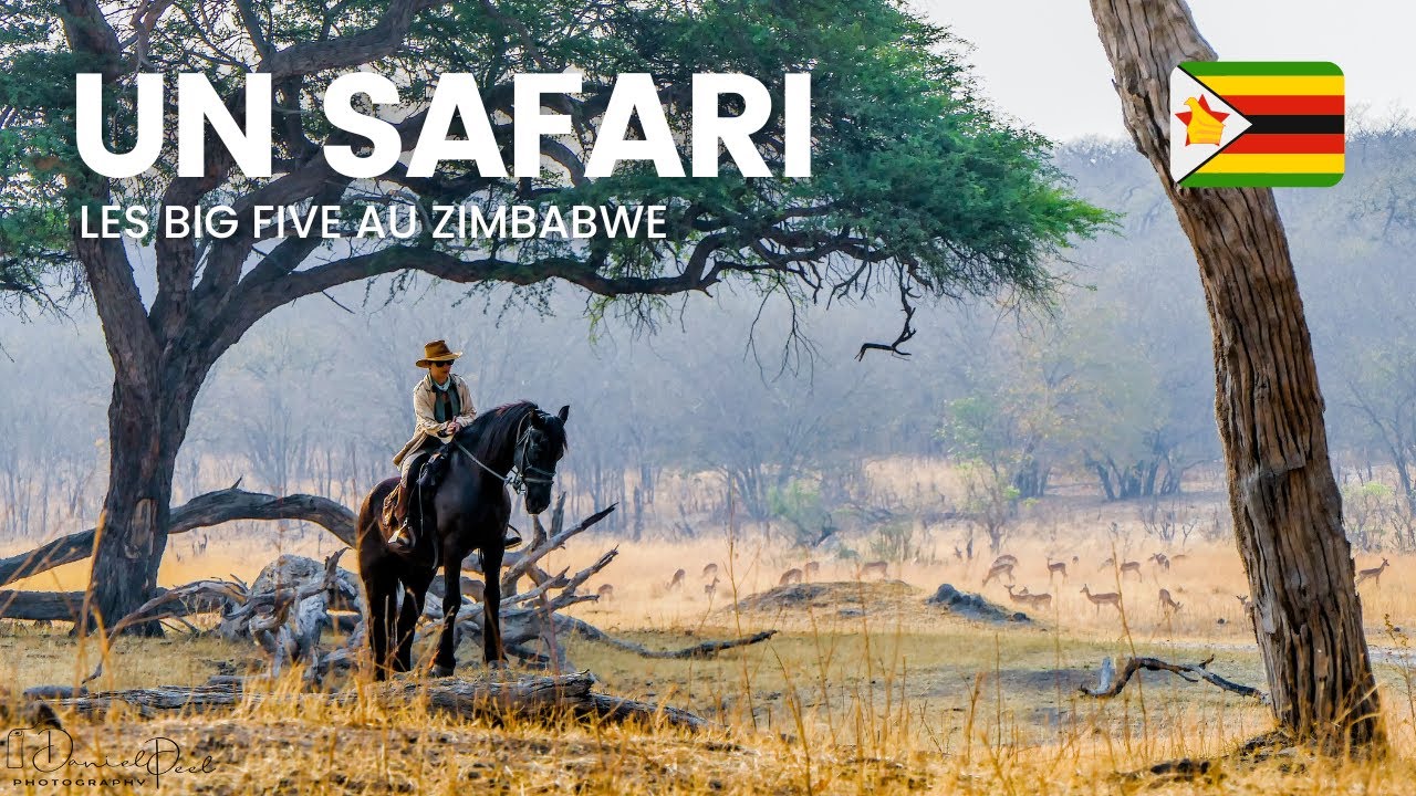 ✈🦒 [ZIMBABWE] Safari Big Five dans le Hwange National Park au Zimbabwe 🐘