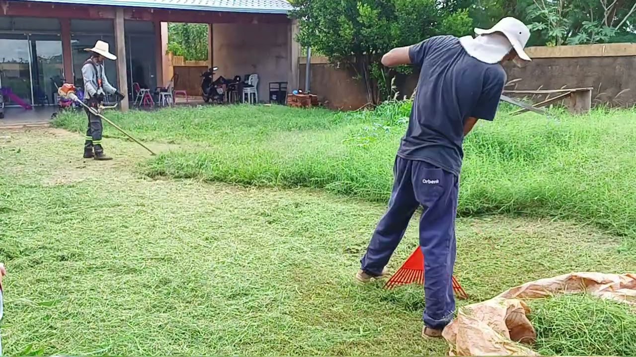 Roçada de terreno #jardinagem #roçada #gardening #fs220 #sthill