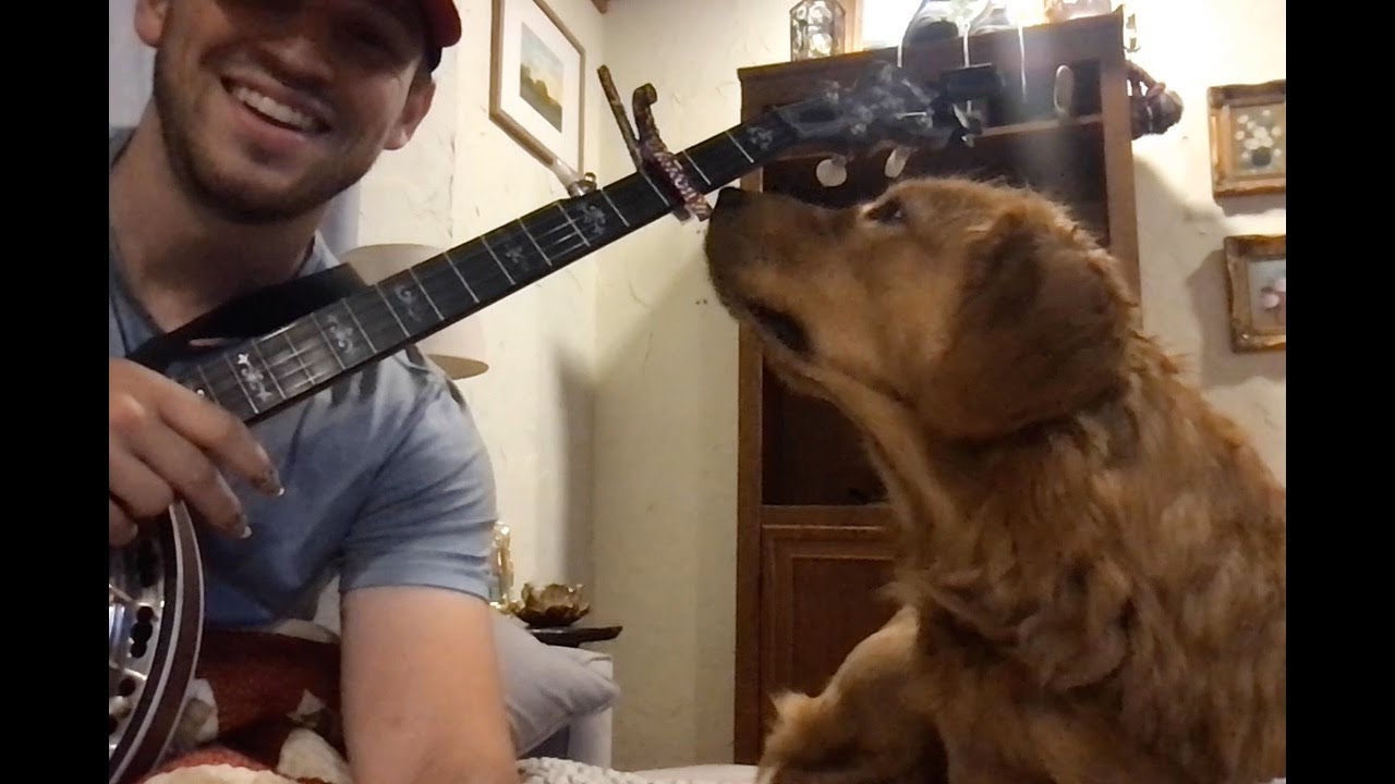 Know it All - Billy String Banjo Lesson Tutorial 2025