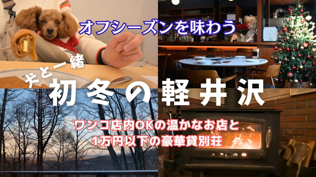 🐾【犬連れ軽井沢 ep.2】初冬の軽井沢で暖かく過ごせるワンコOKのお店｜1泊9,500円の格安豪華貸別荘2泊目｜オフシーズンだからこそ楽しめる大人のゆとり旅Vlog