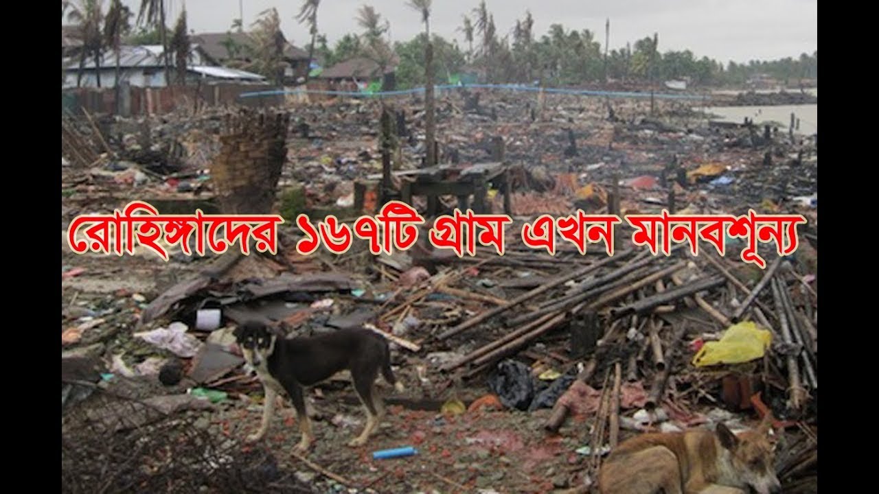 মিয়ানমারের ১৭৬টি রোহিঙ্গা গ্রামে আর কোন মানুষ নেই!