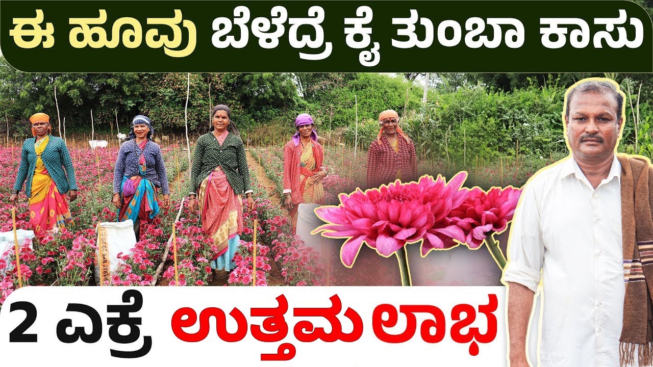 50 ವರ್ಷಗಳಿಂದ ಹೂ ಬೆಳೆದ ನಾರಾಯಣಮ್ಮ |Jayaram Farming Success Story | Chaithra