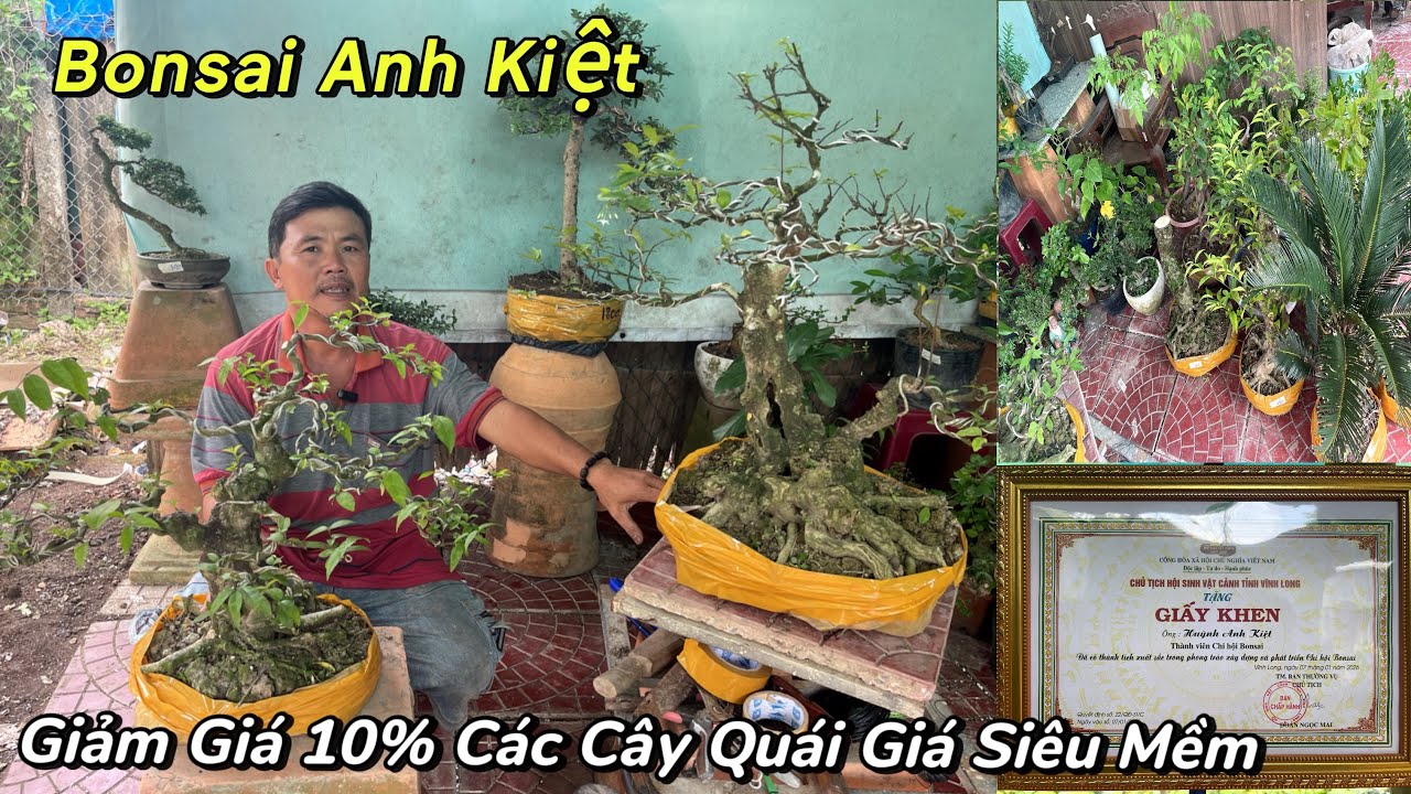 Kiệt: 0369686464. Mai Chiếu Thuỷ, Thiên Tế, Khế Gân, Si, Sung