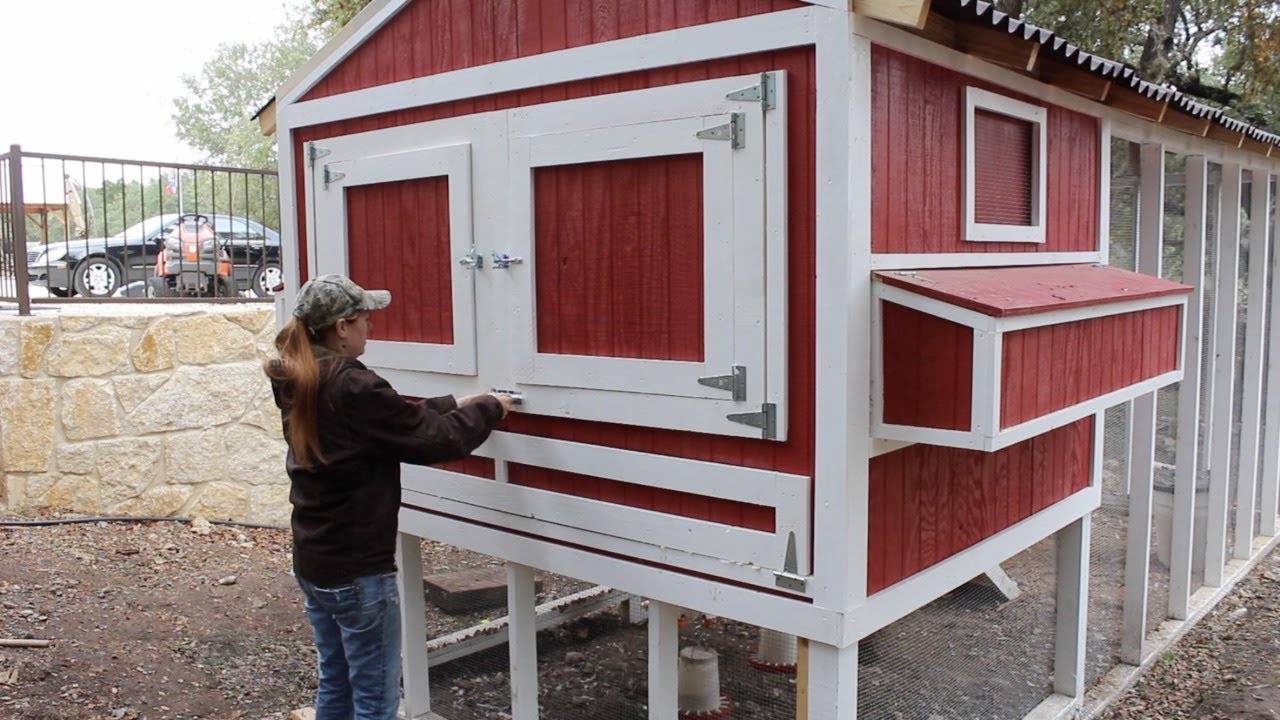 Building A Chicken Coop - Part 3