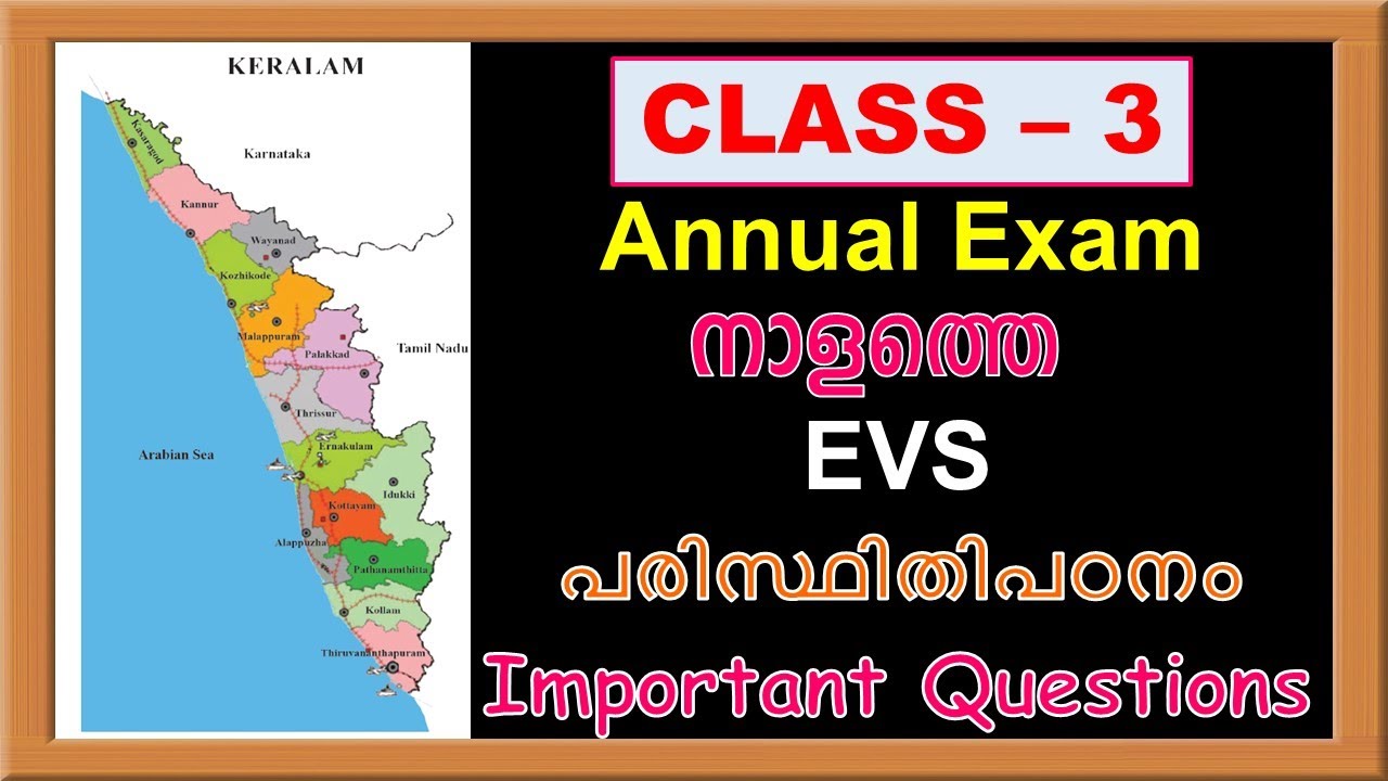 CLASS 3 EVS ANNUAL EXAM 2025 | STD 3 EVS MODEL QUESTION PAPER ANNUAL EXAM 2024 - 2025