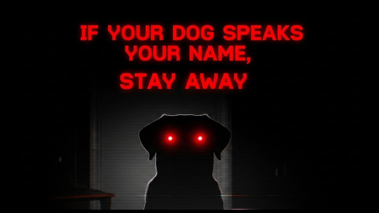 If Your Dog Speaks Your Name, Stay Away - Analog Horror