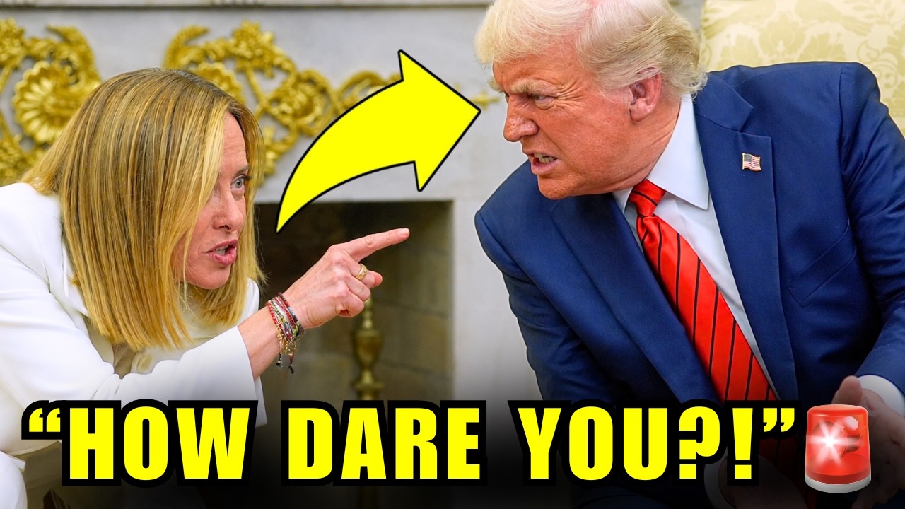 &laquo;ЛЖЕЦ!&raquo; &mdash; Трампа разнесла ПРЕМЬЕР-МИНИСТР Италии!🚨