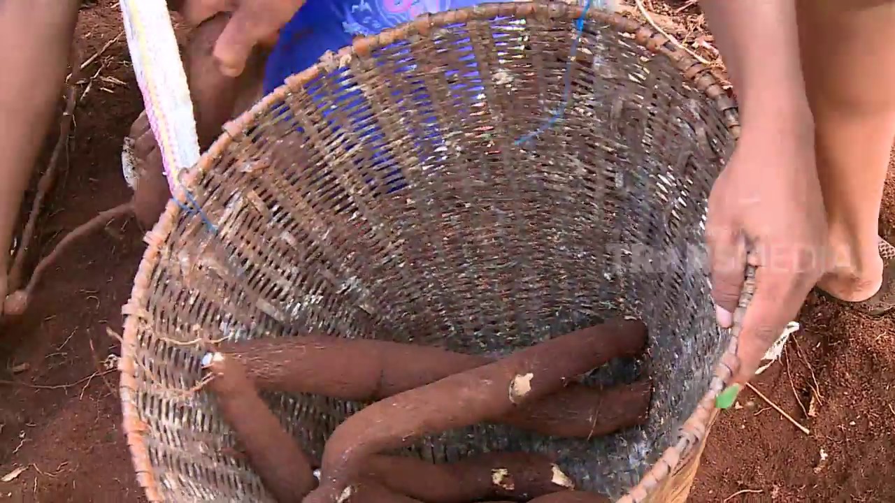 JEJAK ANAK NEGERI | TRADISI DI BUTON  (27/04/18) 2-3