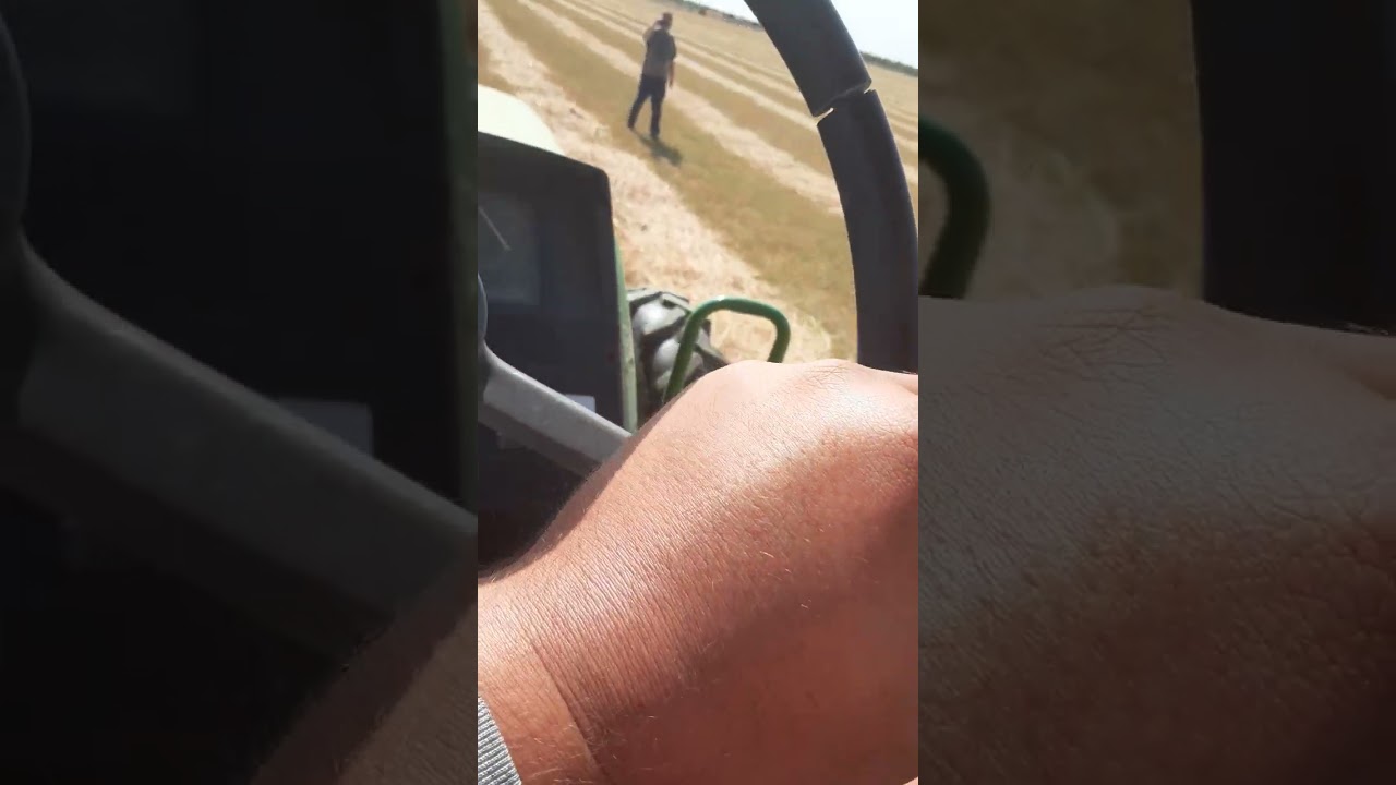 rakeing hay