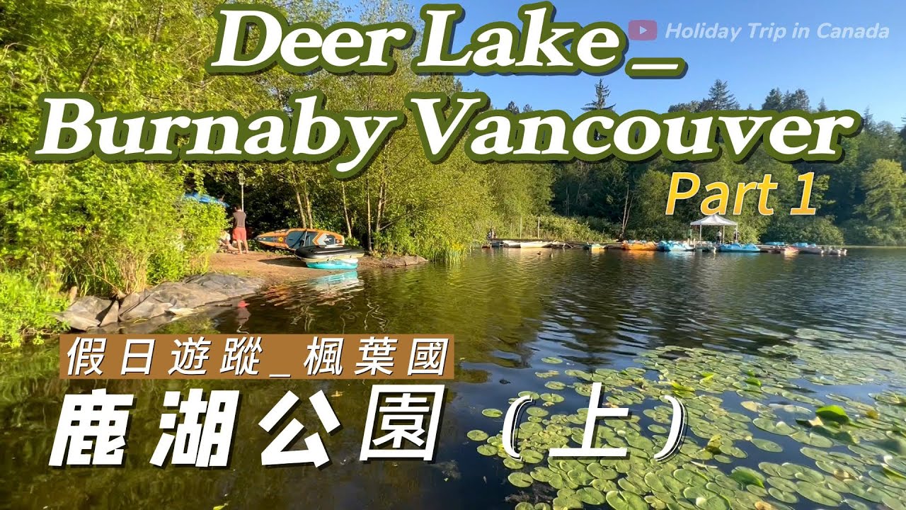 住在這公園旁邊 是多麼幸福~ 讓我帶你去看Deer Lake 究竟有多美? Live near Deer Lake. It's a beautiful place.