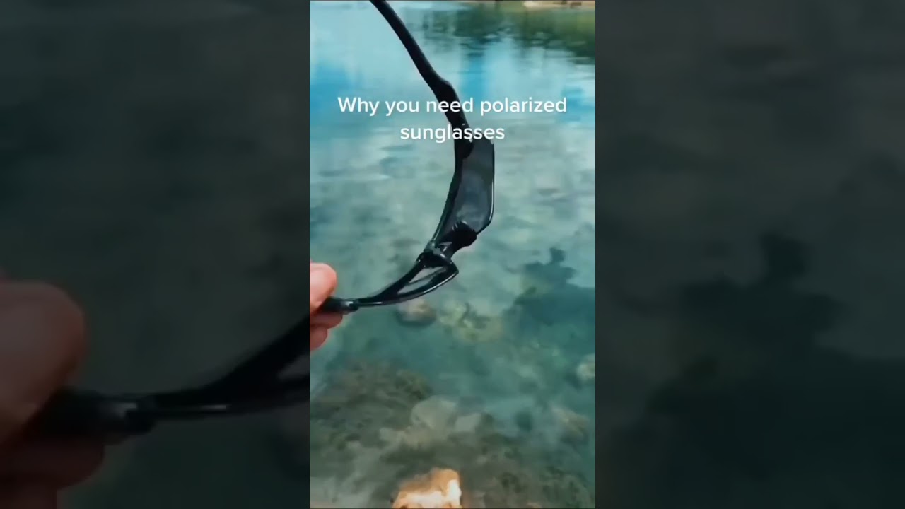The best sunglasses in the world for fishing! #shorts