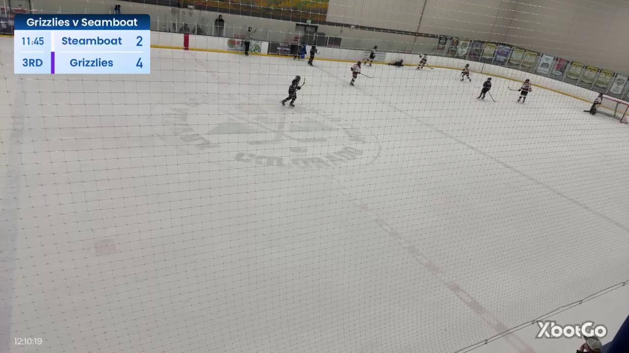 State Tournament Game 3: GRIZZLIES VS. STEAMBOAT