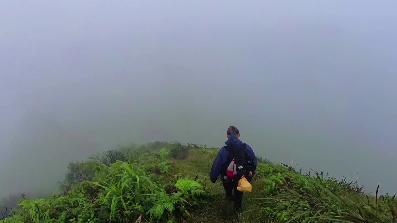 Wailupe Loop Trail and Wiliwilinui Ridge Trail, Oahu, Hawaii