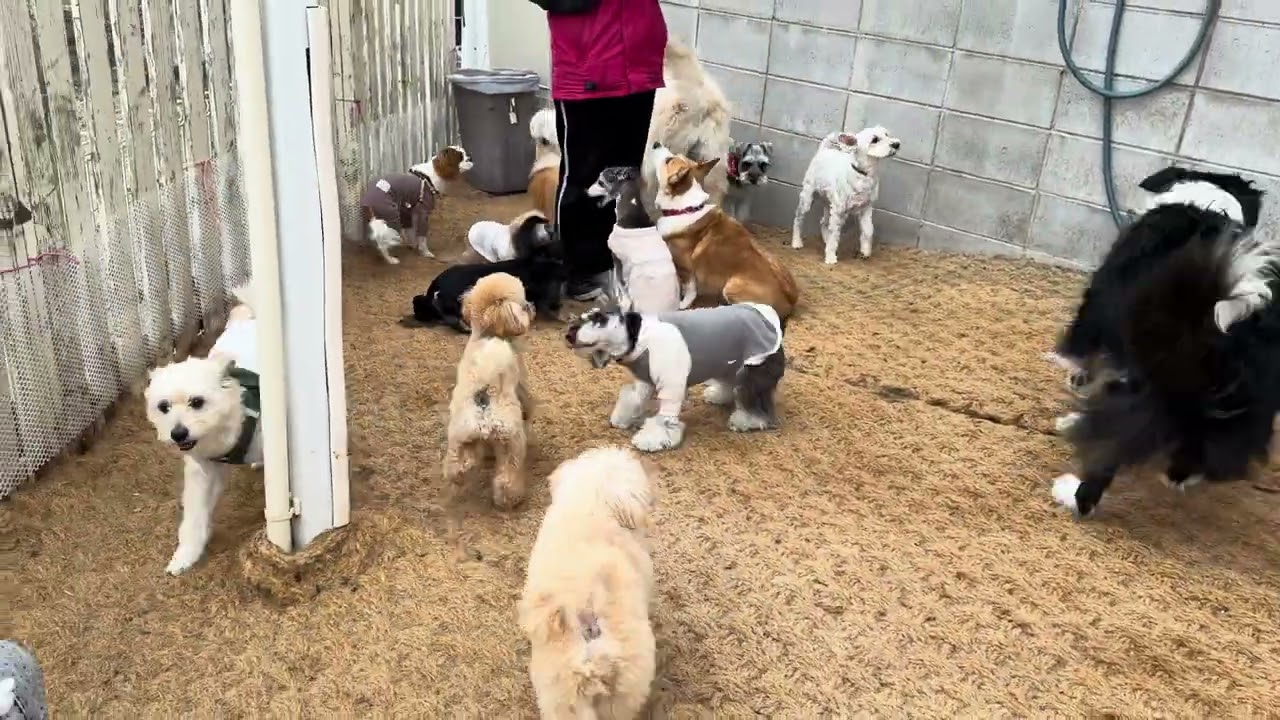 午前①20260207今日は朝極寒でしたが暖かくなってきました！