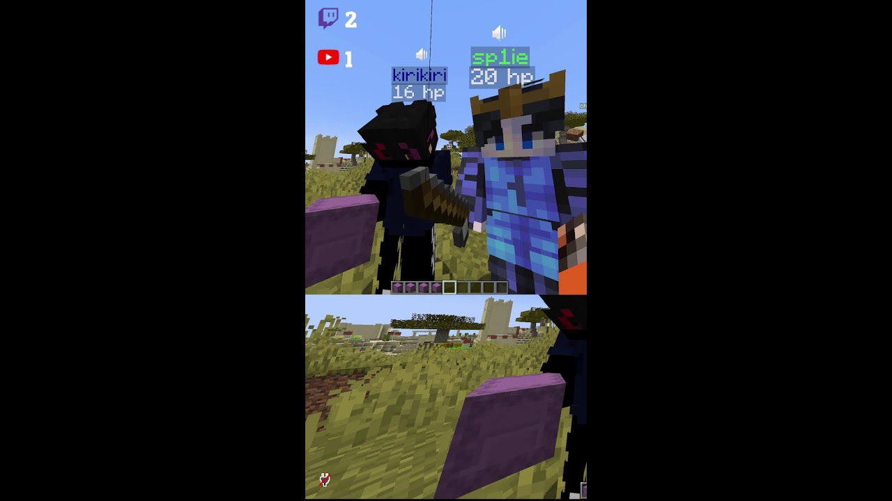 ИГРАЕМ В MINECRAFT !!!! #shorts