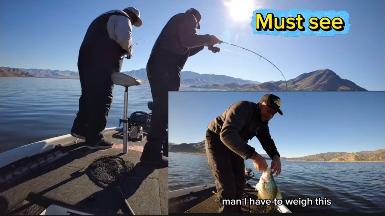Dad and brother absolutely slayed them #family #fishing #foryou 