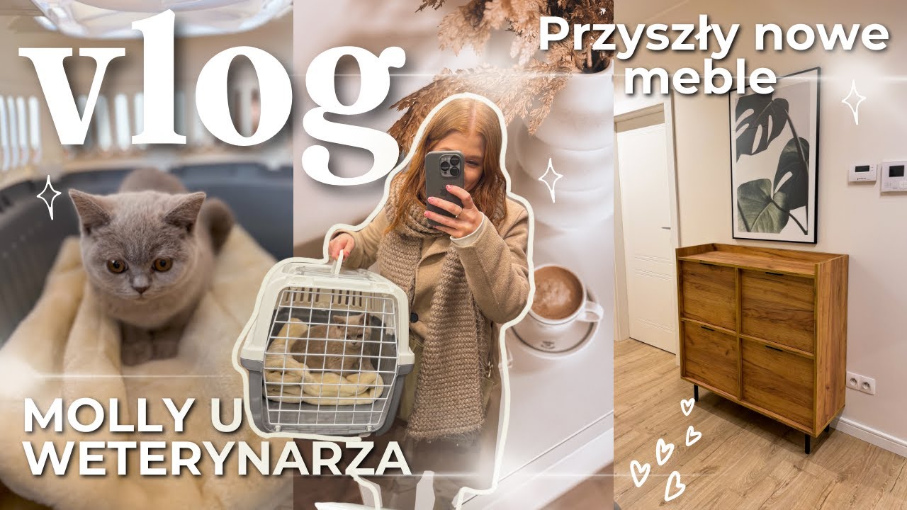VLOG DLA KOCIARZY 🐾 MOLLY U WETA 🐈 🩺 ULUBIONE RADIO 🎧 PRZYSZŁY MEBLE🏡  | VLOG