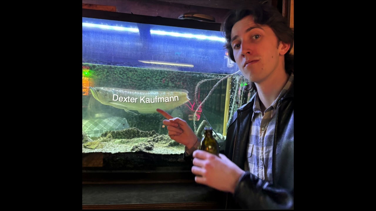 Dexter Kaufmann - College Radio Mix Vol. 1