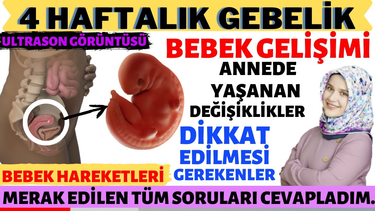 4 Haftalık Gebelik (2025)