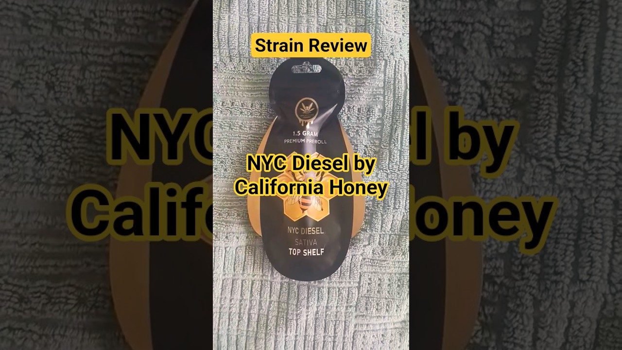 Strain Review: NYC Diesel by California Honey #medical #review #newyork #shorts #short #ytshorts