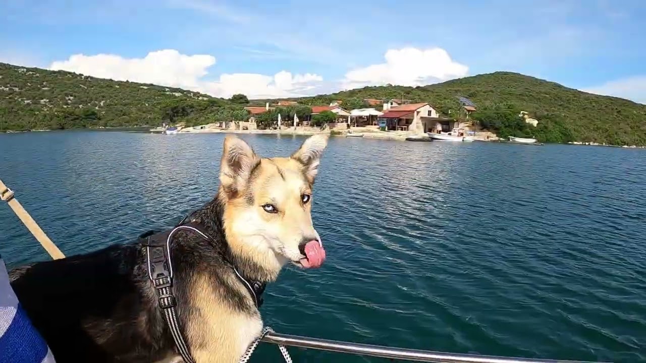 Konoba Kiss auf Pašman mit dem Boot - Revierführer Dalmatien, Kroatien