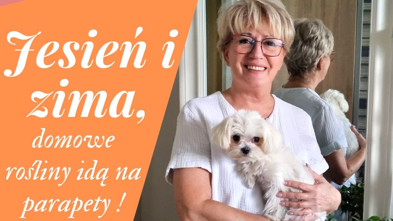 DOMOWE ROŚLINY JESIENIĄ I ZIMĄ [492]