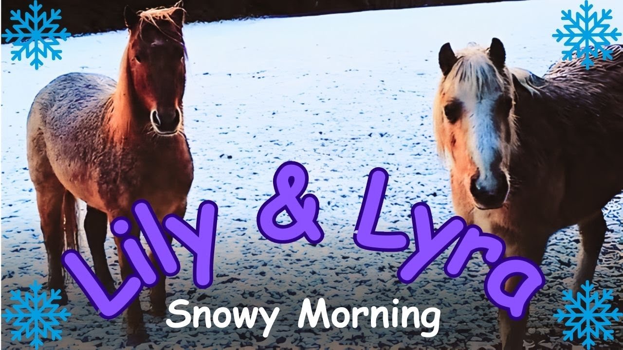 Lily & Lyra: The Ponies Have a Snowy Morning