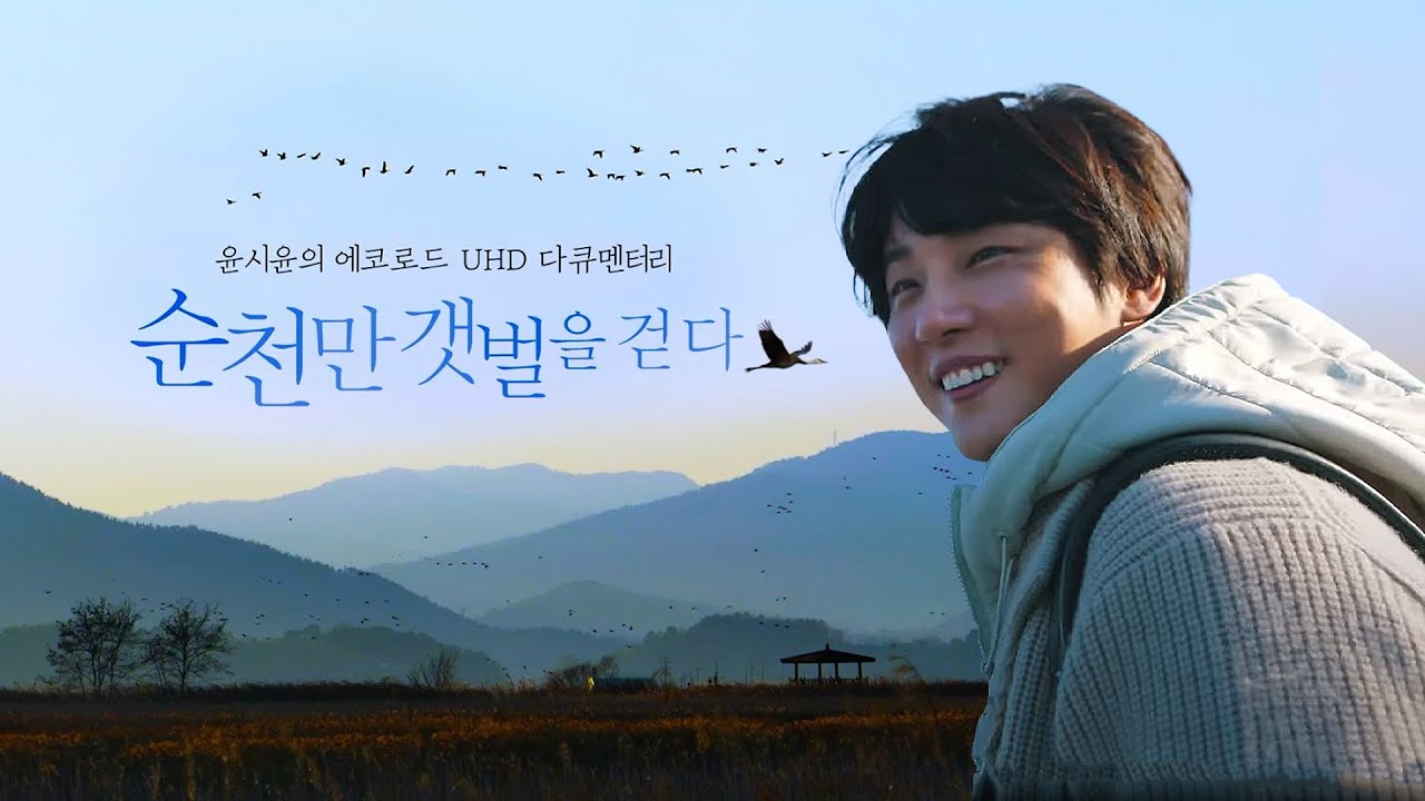 윤시윤의 에코로드 UHD 다큐 '순천만 갯벌을 걷다' 1/22(일) 오전 8시25분 방송&유튜브 최초공개! [4K 초고화질]