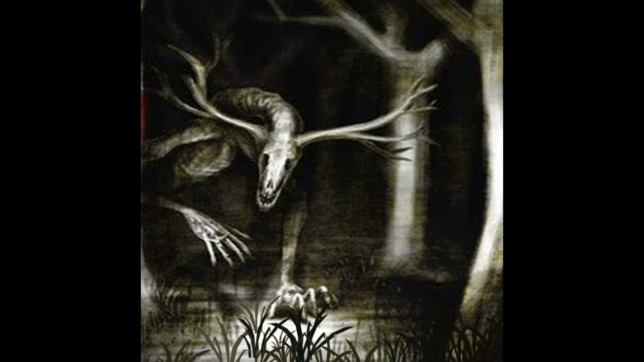 El acecho De Los NAHUALES Historias De Terror - REDE