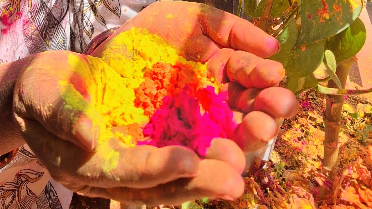 Doyel  is live good morning all everyone's my friends #love #live#song #natureflowers #happy Holi 