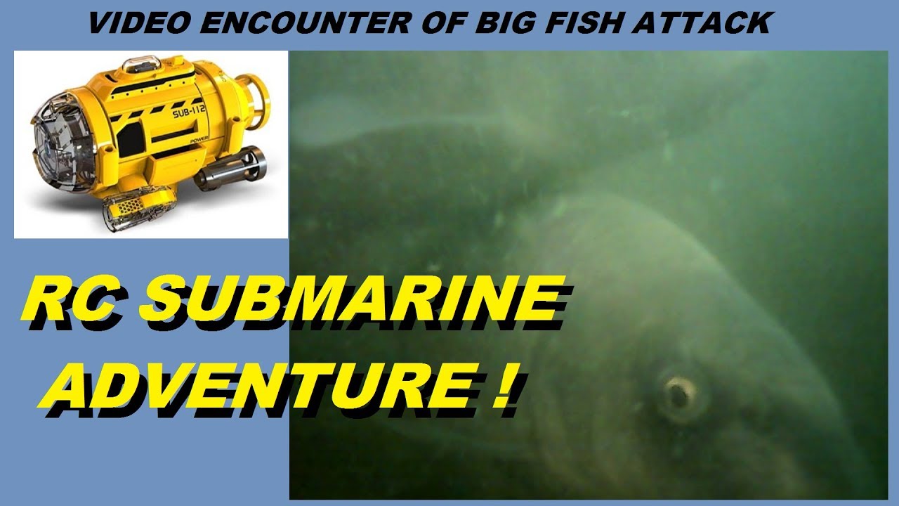 RC Submarine Adventure, Filming large fish